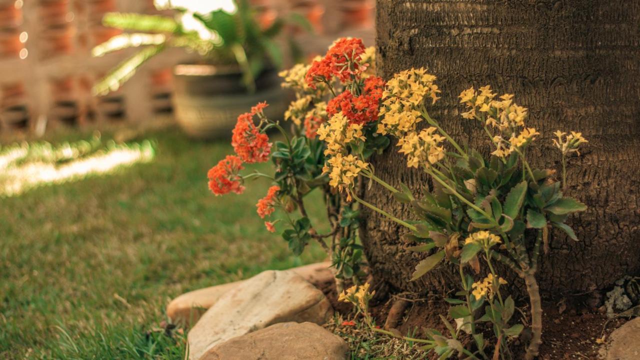 Chales Terraviva Pirenópolis Dış mekan fotoğraf